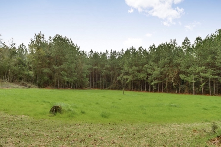 85 Acres of Recreational Hunting Land with Hardwood Timber - image 41