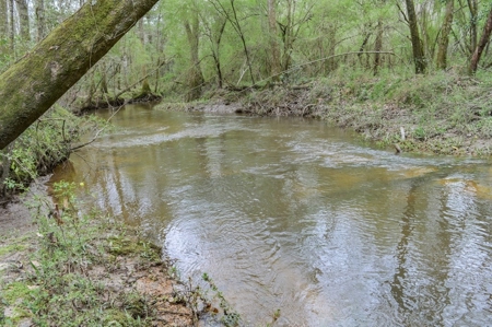 85 Acres of Recreational Hunting Land with Hardwood Timber - image 28