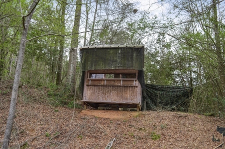 85 Acres of Recreational Hunting Land with Hardwood Timber - image 43