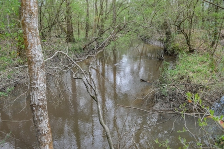 85 Acres of Recreational Hunting Land with Hardwood Timber - image 27