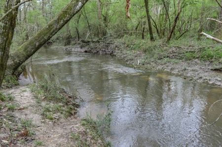 85 Acres of Recreational Hunting Land with Hardwood Timber - image 29
