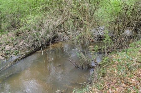 85 Acres of Recreational Hunting Land with Hardwood Timber - image 21