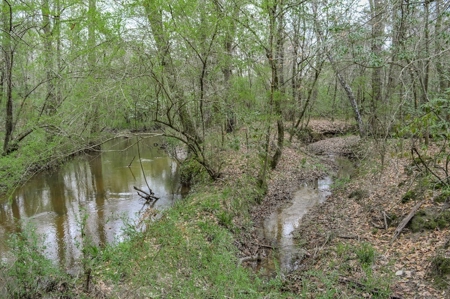 85 Acres of Recreational Hunting Land with Hardwood Timber - image 30