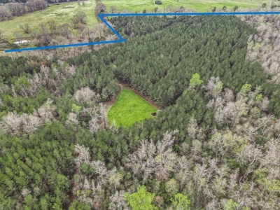 85 Acres of Recreational Hunting Land with Hardwood Timber - image 6