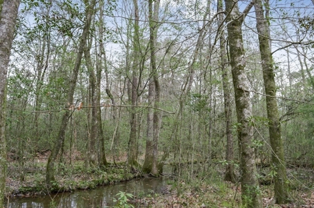 85 Acres of Recreational Hunting Land with Hardwood Timber - image 33
