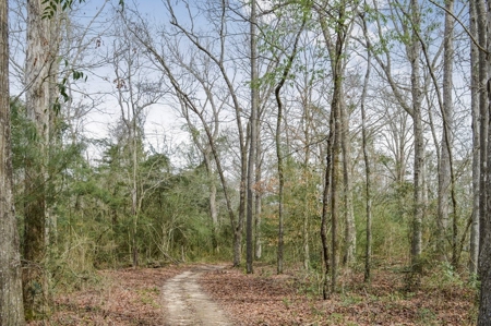 85 Acres of Recreational Hunting Land with Hardwood Timber - image 16