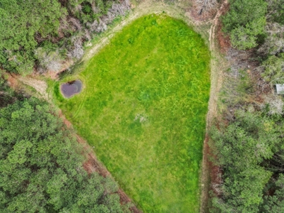 85 Acres of Recreational Hunting Land with Hardwood Timber - image 11