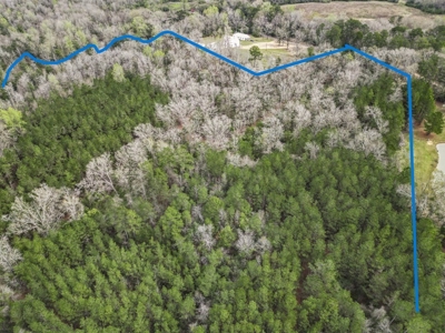 85 Acres of Recreational Hunting Land with Hardwood Timber - image 13