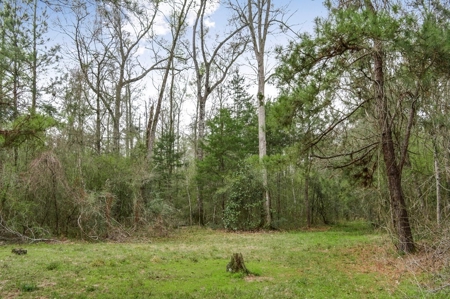 85 Acres of Recreational Hunting Land with Hardwood Timber - image 37