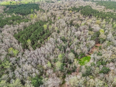 85 Acres of Recreational Hunting Land with Hardwood Timber - image 14