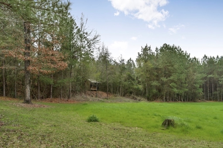 85 Acres of Recreational Hunting Land with Hardwood Timber - image 42