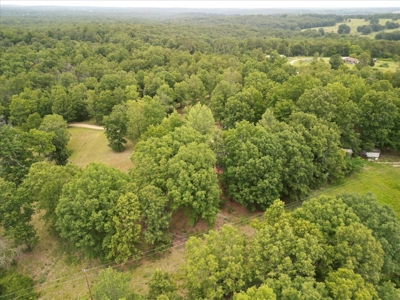 Country Home with Shop in the Heart of the Ozarks - image 35