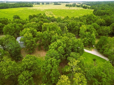 Country Home with Shop in the Heart of the Ozarks - image 34