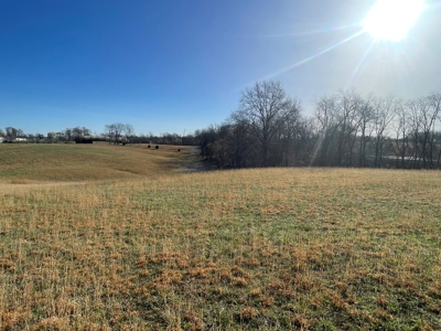 28.38 acres pasture/hay land for sale near Smiths Grove, Ky. - image 9