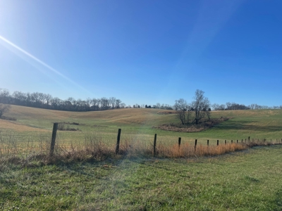 28.38 acres pasture/hay land for sale near Smiths Grove, Ky. - image 1