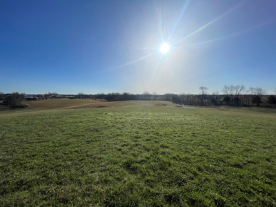 28.38 acres pasture/hay land for sale near Smiths Grove, Ky. - image 5