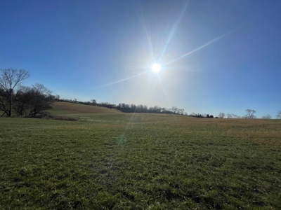 28.38 acres pasture/hay land for sale near Smiths Grove, Ky. - image 4