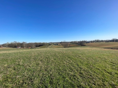 28.38 acres pasture/hay land for sale near Smiths Grove, Ky. - image 7