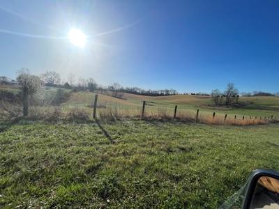 28.38 acres pasture/hay land for sale near Smiths Grove, Ky. - image 2