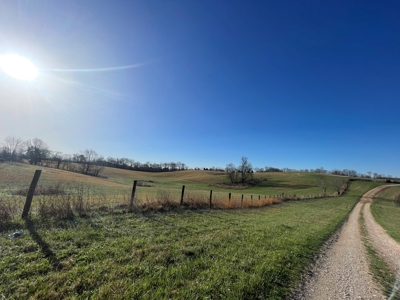 28.38 acres pasture/hay land for sale near Smiths Grove, Ky. - image 3