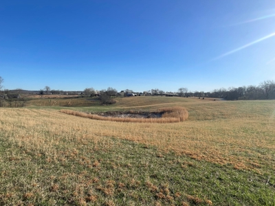 28.38 acres pasture/hay land for sale near Smiths Grove, Ky. - image 8