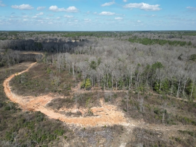 60+ Acres Near Osyka, MS (Pike County) for Hunting & Home! - image 18