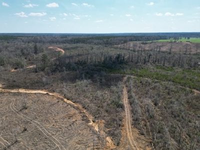 60+ Acres Near Osyka, MS (Pike County) for Hunting & Home! - image 13