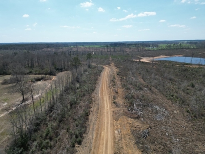 60+ Acres Near Osyka, MS (Pike County) for Hunting & Home! - image 10