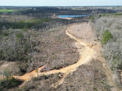 60+ Acres Near Osyka, MS (Pike County) for Hunting & Home! - image 12