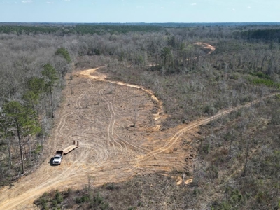 60+ Acres Near Osyka, MS (Pike County) for Hunting & Home! - image 1