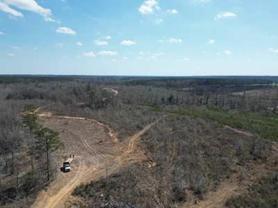 60+ Acres Near Osyka, MS (Pike County) for Hunting & Home! - image 14