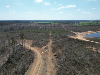 60+ Acres Near Osyka, MS (Pike County) for Hunting & Home! - image 7