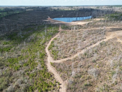 60+ Acres Near Osyka, MS (Pike County) for Hunting & Home! - image 24