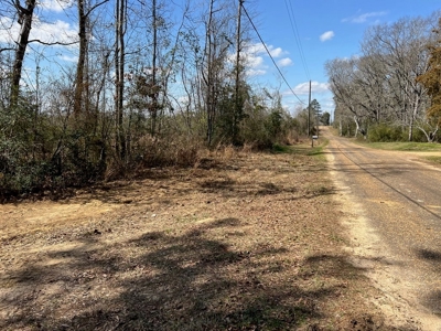 60+ Acres Near Osyka, MS (Pike County) for Hunting & Home! - image 4