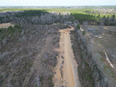 60+ Acres Near Osyka, MS (Pike County) for Hunting & Home! - image 9