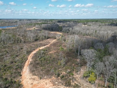 60+ Acres Near Osyka, MS (Pike County) for Hunting & Home! - image 19