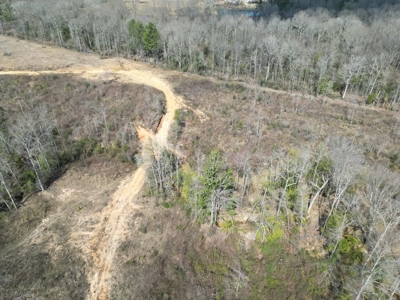 60+ Acres Near Osyka, MS (Pike County) for Hunting & Home! - image 23