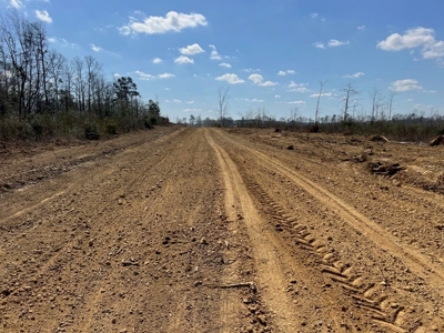 60+ Acres Near Osyka, MS (Pike County) for Hunting & Home! - image 2
