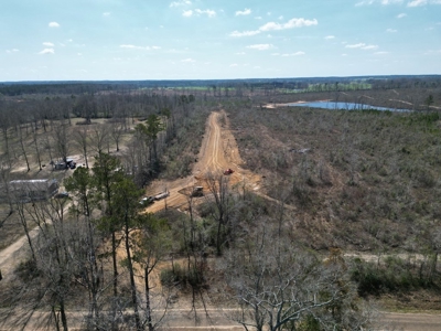 60+ Acres Near Osyka, MS (Pike County) for Hunting & Home! - image 11