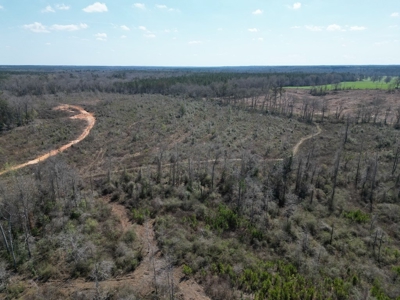 60+ Acres Near Osyka, MS (Pike County) for Hunting & Home! - image 20