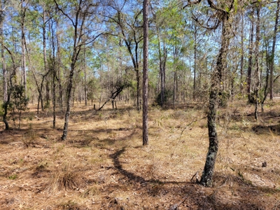 Lots In Rainbow Lakes Estates Dunnellon Florida - image 7