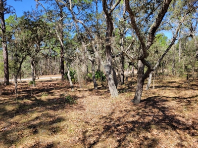 Lots In Rainbow Lakes Estates Dunnellon Florida - image 2