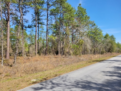 Lots In Rainbow Lakes Estates Dunnellon Florida - image 1