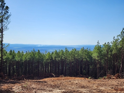Off-Grid Cabin Building Location – Panoramic Mountain Views - image 4