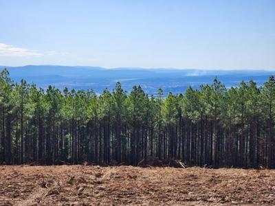 Off-Grid Cabin Building Location – Panoramic Mountain Views - image 9