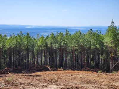 Off-Grid Cabin Building Location – Panoramic Mountain Views - image 8