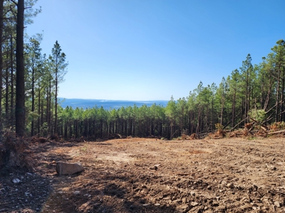 Off-Grid Cabin Building Location – Panoramic Mountain Views - image 6