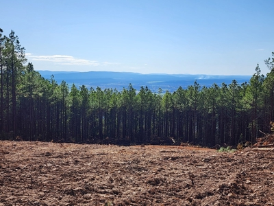 Off-Grid Cabin Building Location – Panoramic Mountain Views - image 3