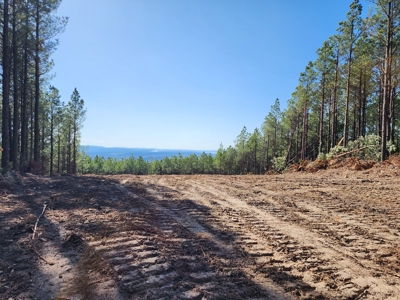 Off-Grid Cabin Building Location – Panoramic Mountain Views - image 10