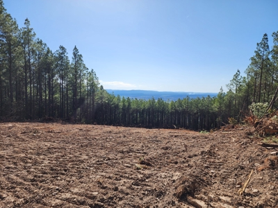 Off-Grid Cabin Building Location – Panoramic Mountain Views - image 2